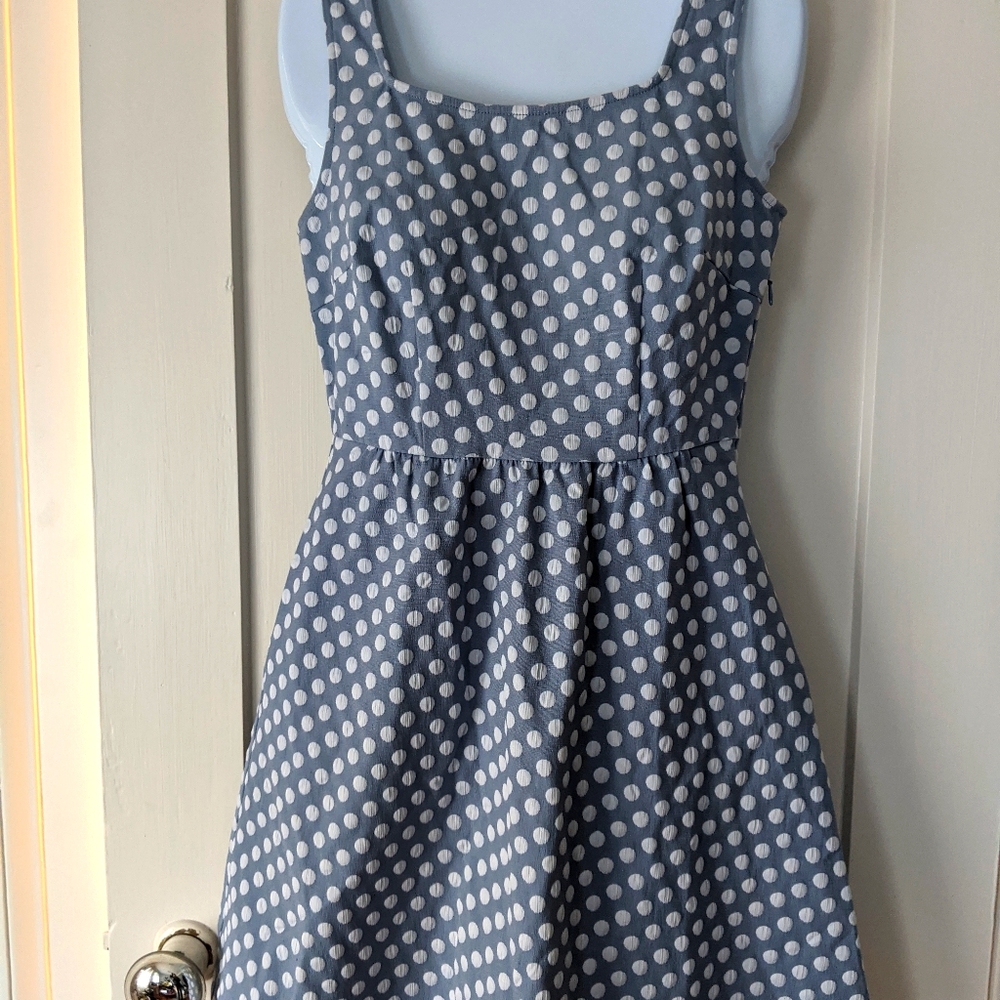 The Limited polkadot dress